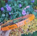 Screenshot_20260922_163810_Gallery.jpg